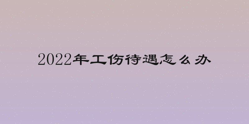 2022年工伤待遇怎么办
