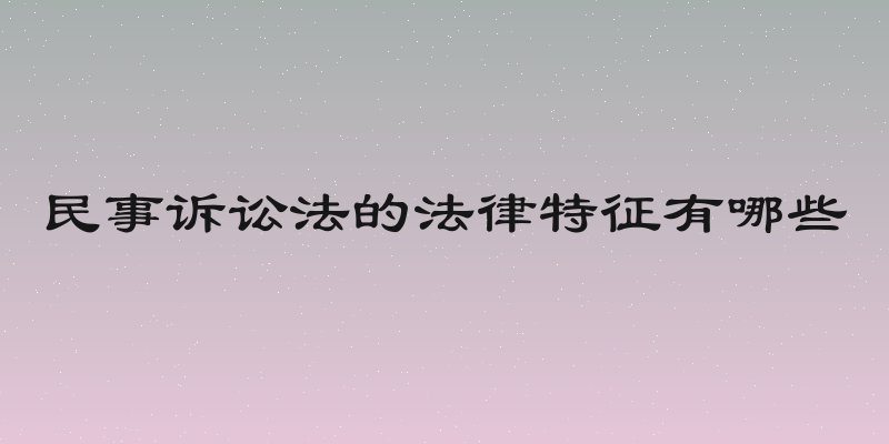 民事诉讼法的法律特征有哪些