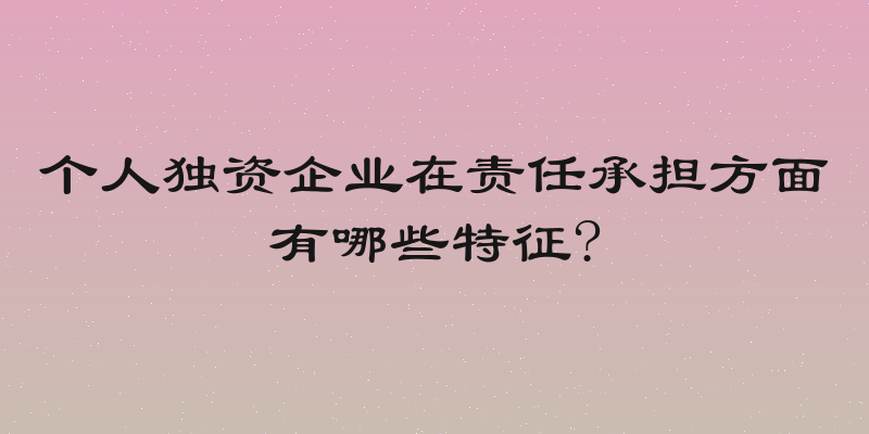 个人独资企业在责任承担方面有哪些特征?