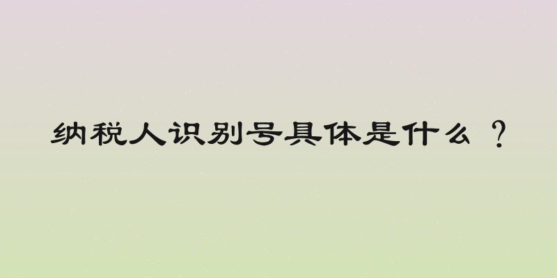 纳税人识别号具体是什么？
