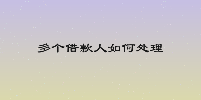 多个借款人如何处理