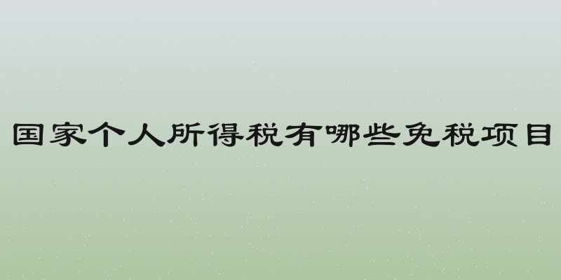 国家个人所得税有哪些免税项目