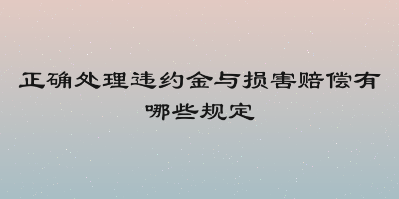 正确处理违约金与损害赔偿有哪些规定