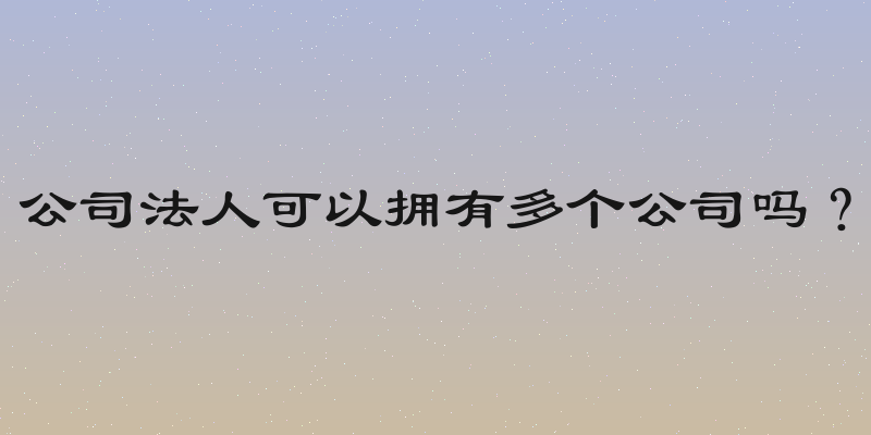 公司法人可以拥有多个公司吗？
