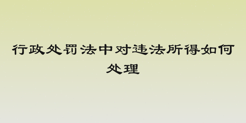 行政处罚法中对违法所得如何处理