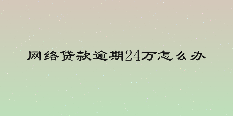 网络贷款逾期24万怎么办