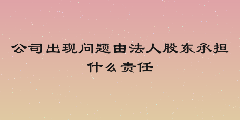 公司出现问题由法人股东承担什么责任