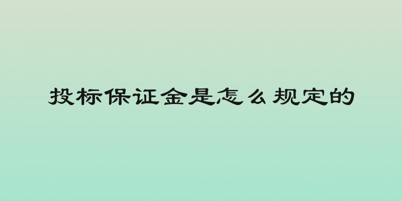 投标保证金是怎么规定的