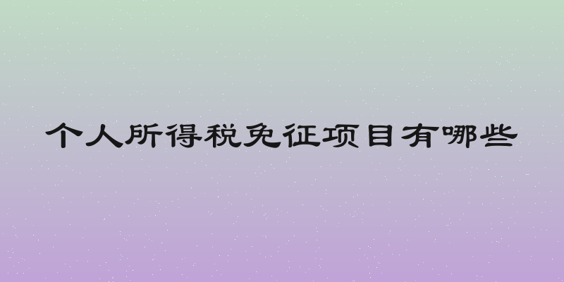 个人所得税免征项目有哪些