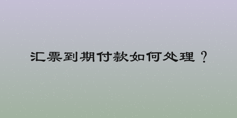汇票到期付款如何处理？