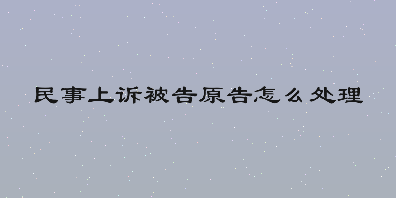 民事上诉被告原告怎么处理