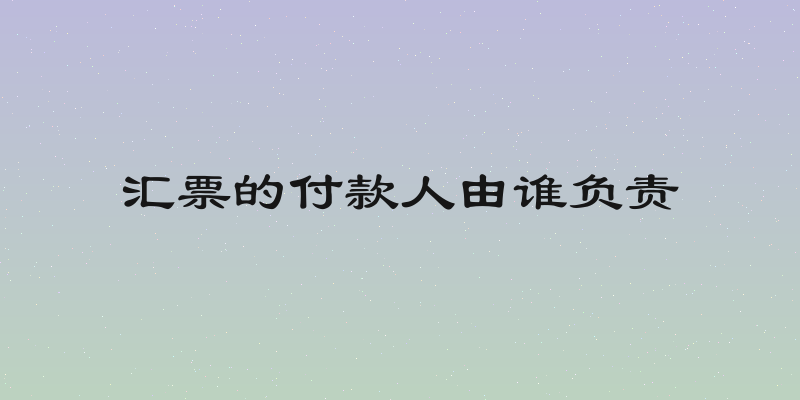 汇票的付款人由谁负责