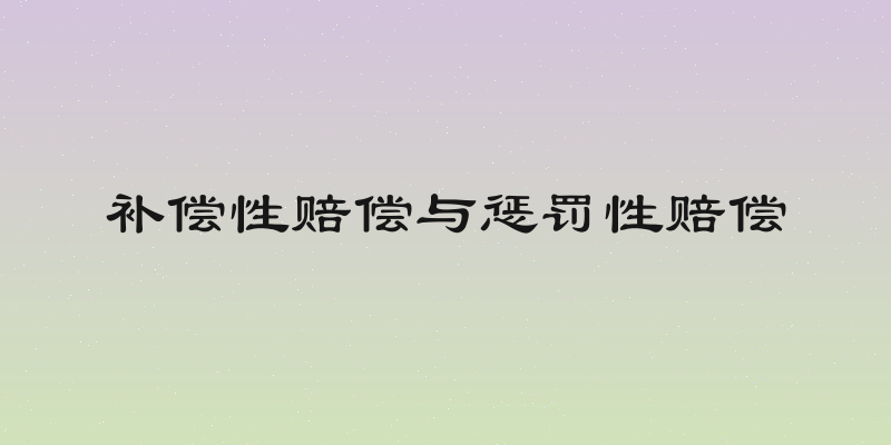 补偿性赔偿与惩罚性赔偿
