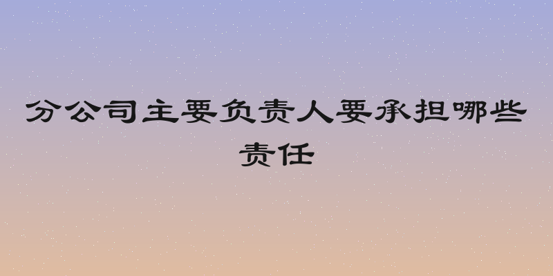 分公司主要负责人要承担哪些责任