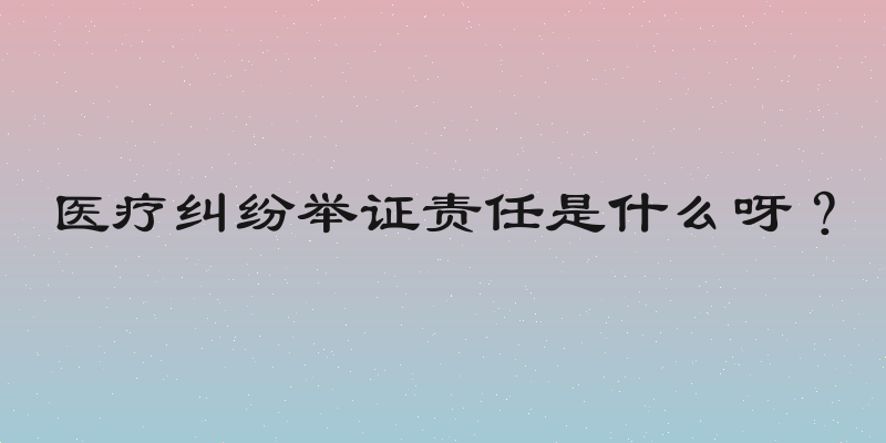 医疗纠纷举证责任是什么呀？