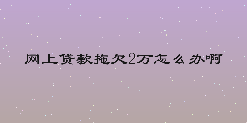 网上贷款拖欠2万怎么办啊