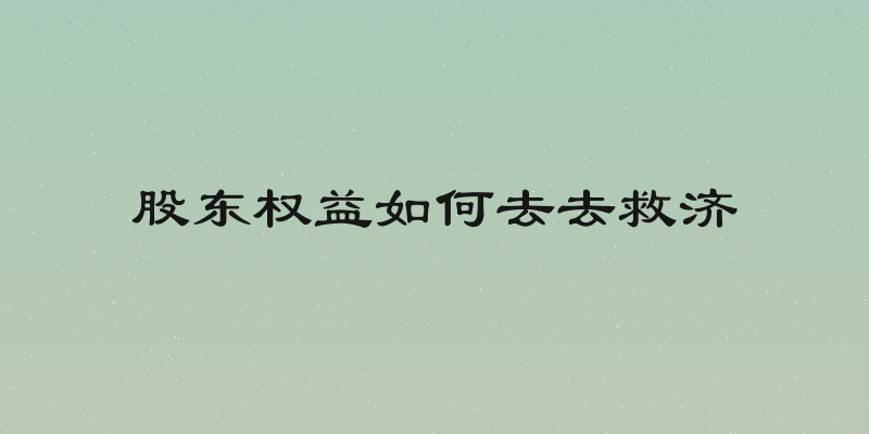 股东权益如何去去救济