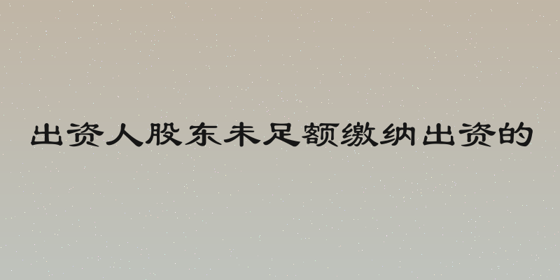 出资人股东未足额缴纳出资的