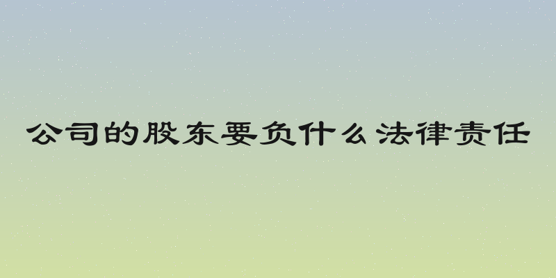 公司的股东要负什么法律责任