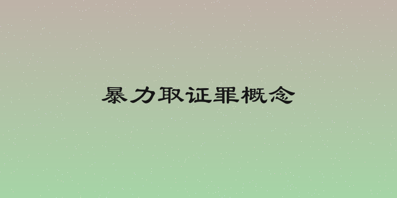 暴力取证罪概念