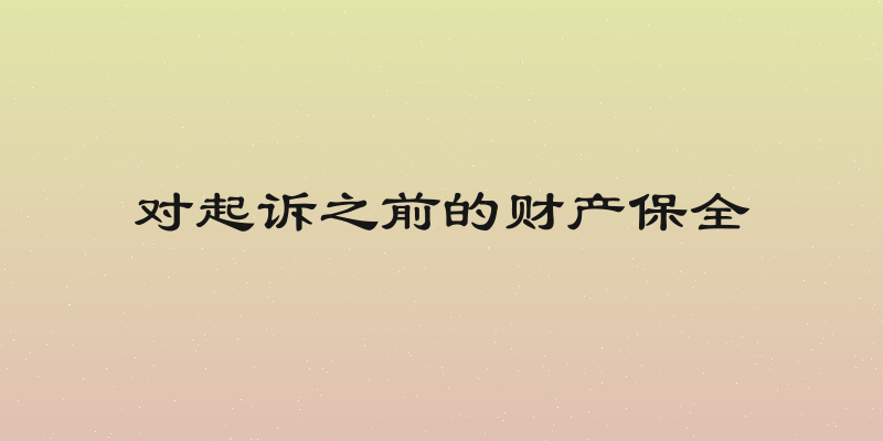 对起诉之前的财产保全