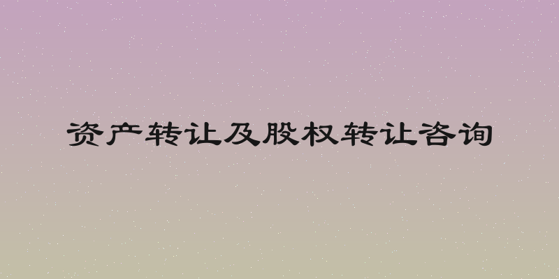 资产转让及股权转让咨询