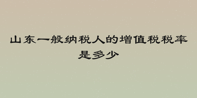 山东一般纳税人的增值税税率是多少