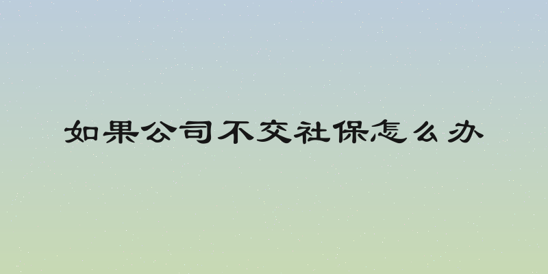 如果公司不交社保怎么办