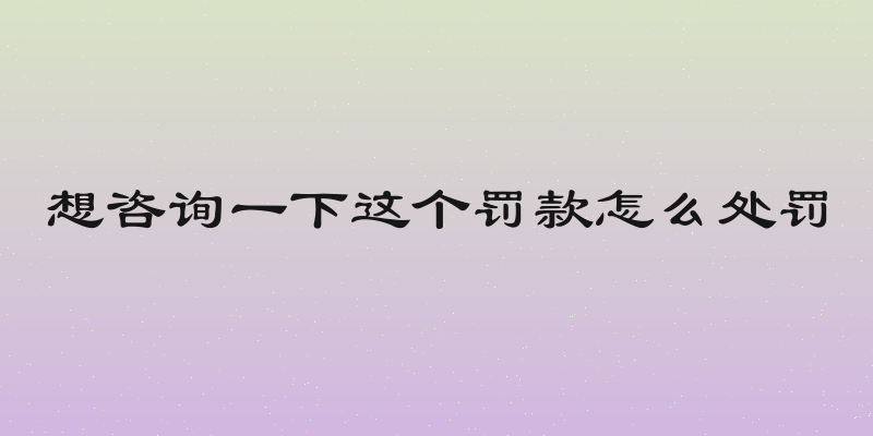 想咨询一下这个罚款怎么处罚