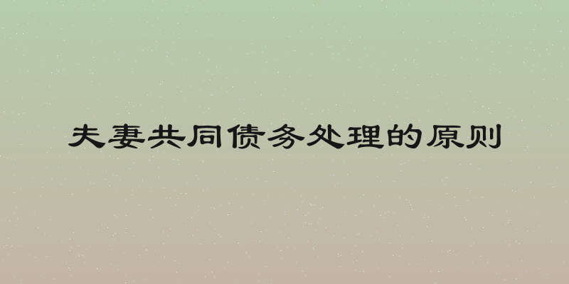 夫妻共同债务处理的原则