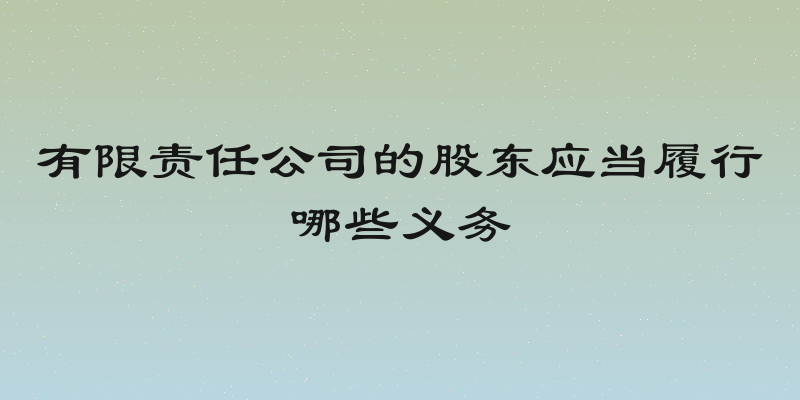 有限责任公司的股东应当履行哪些义务