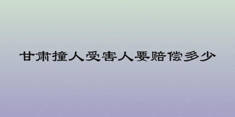 甘肃撞人受害人要赔偿多少
