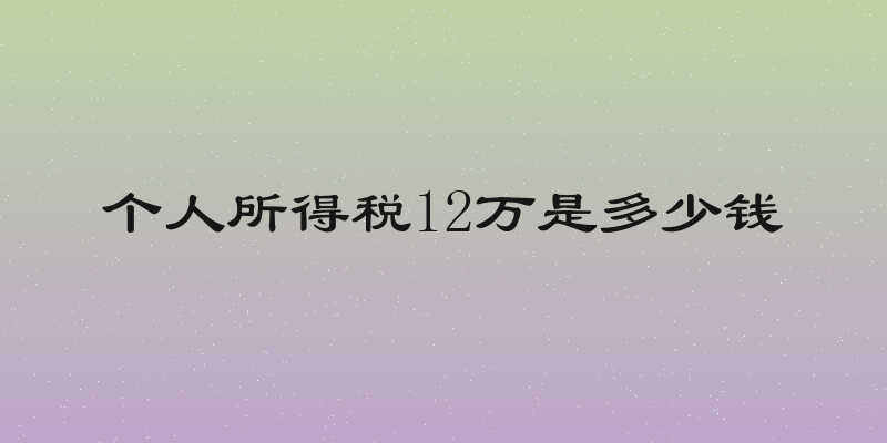 个人所得税12万是多少钱