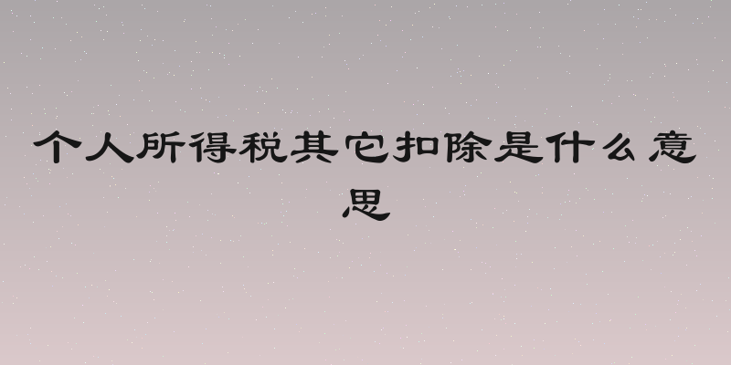 个人所得税其它扣除是什么意思