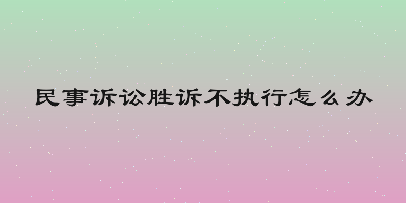 民事诉讼胜诉不执行怎么办