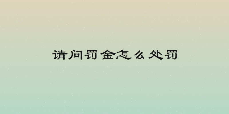 请问罚金怎么处罚