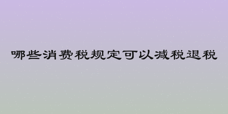 哪些消费税规定可以减税退税