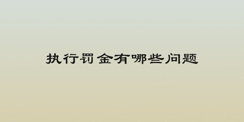 执行罚金有哪些问题