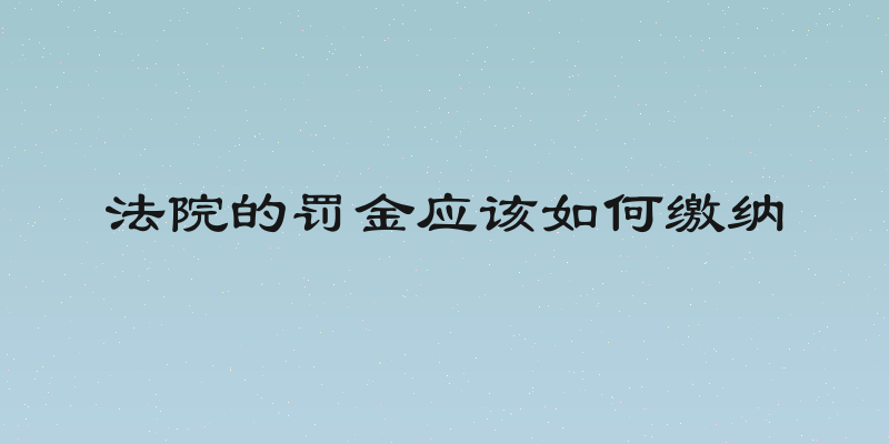 法院的罚金应该如何缴纳
