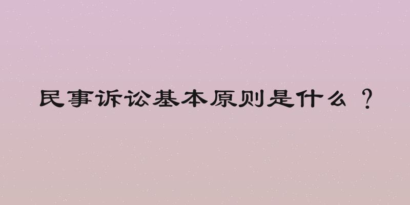 民事诉讼基本原则是什么？