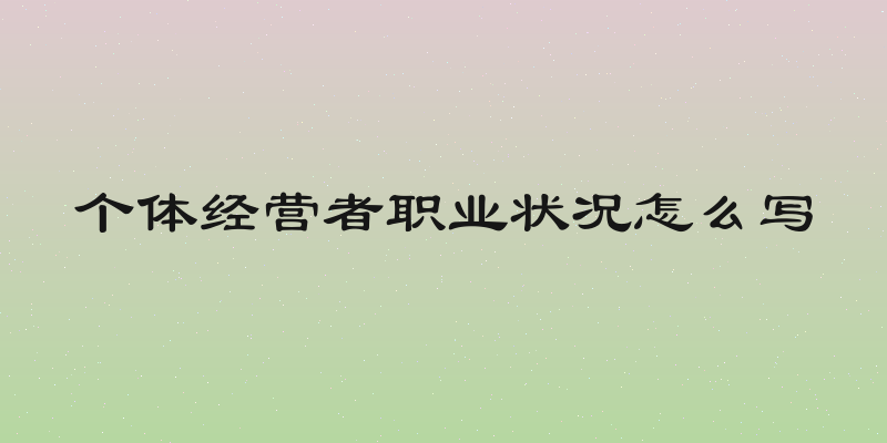 个体经营者职业状况怎么写