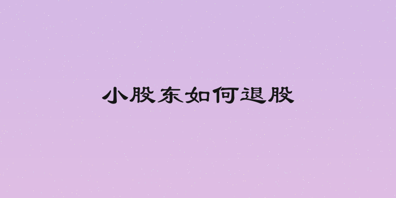 小股东如何退股