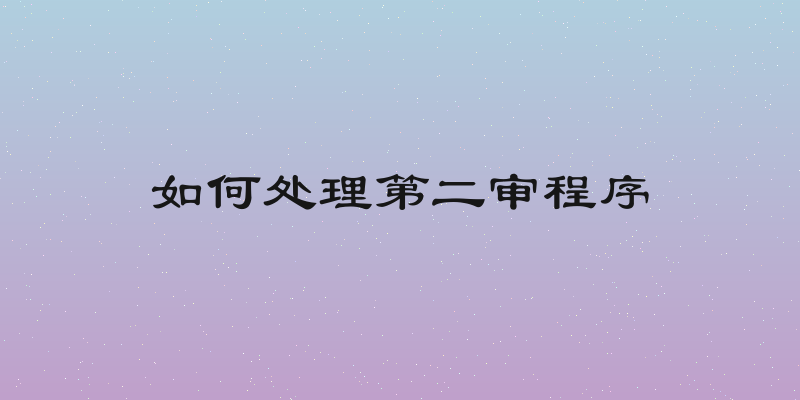 如何处理第二审程序