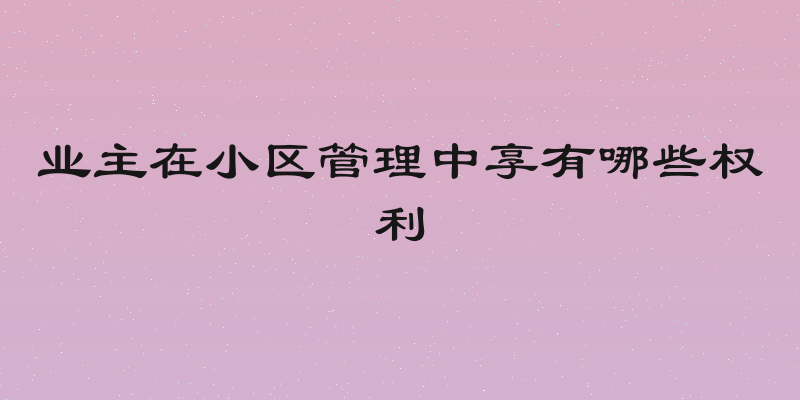 业主在小区管理中享有哪些权利