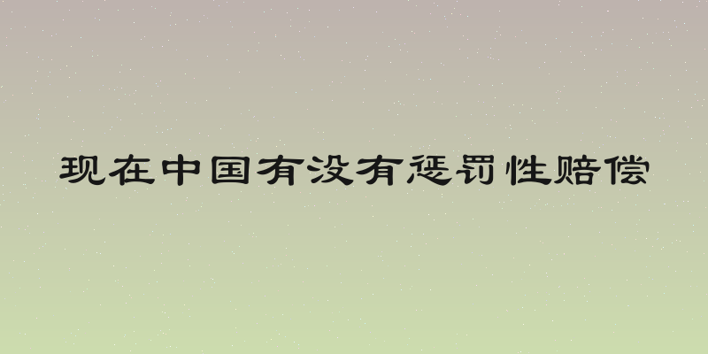 现在中国有没有惩罚性赔偿