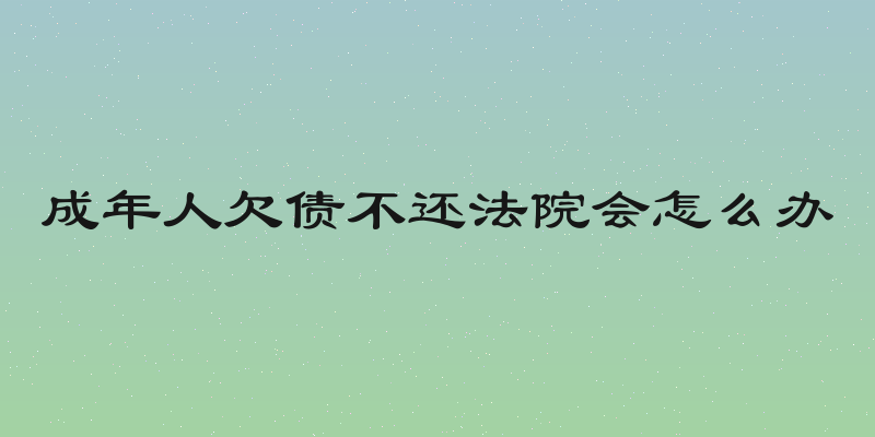 成年人欠债不还法院会怎么办