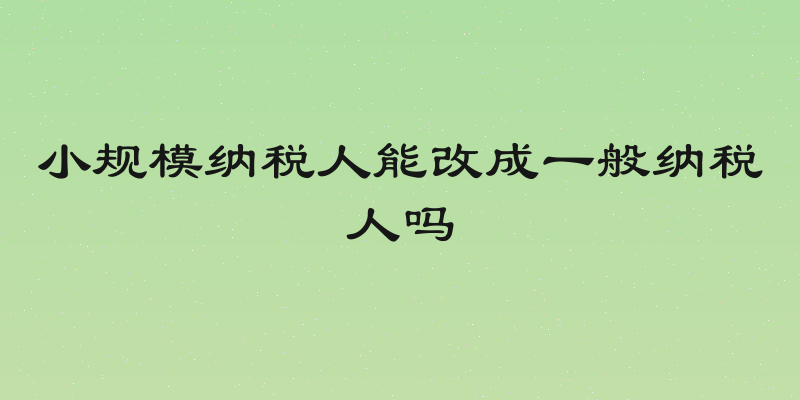 小规模纳税人能改成一般纳税人吗
