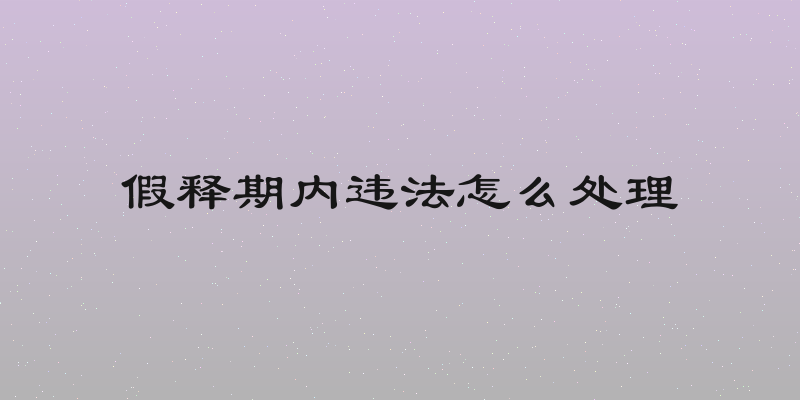 假释期内违法怎么处理