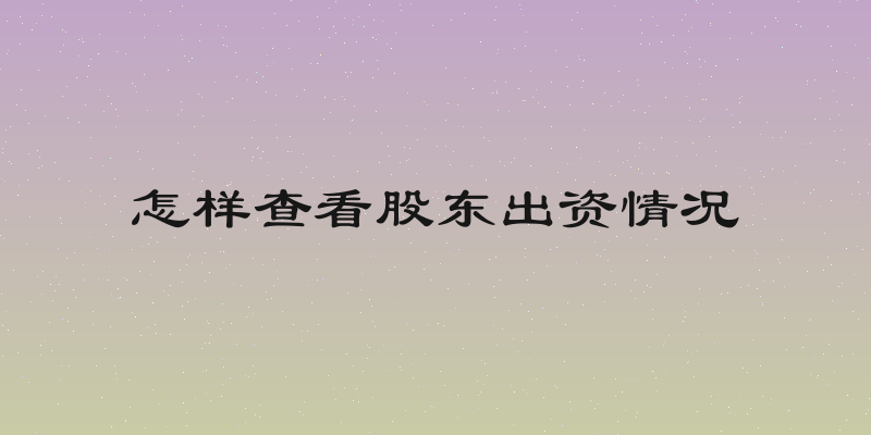 怎样查看股东出资情况