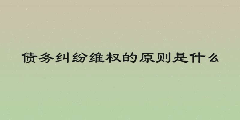 债务纠纷维权的原则是什么